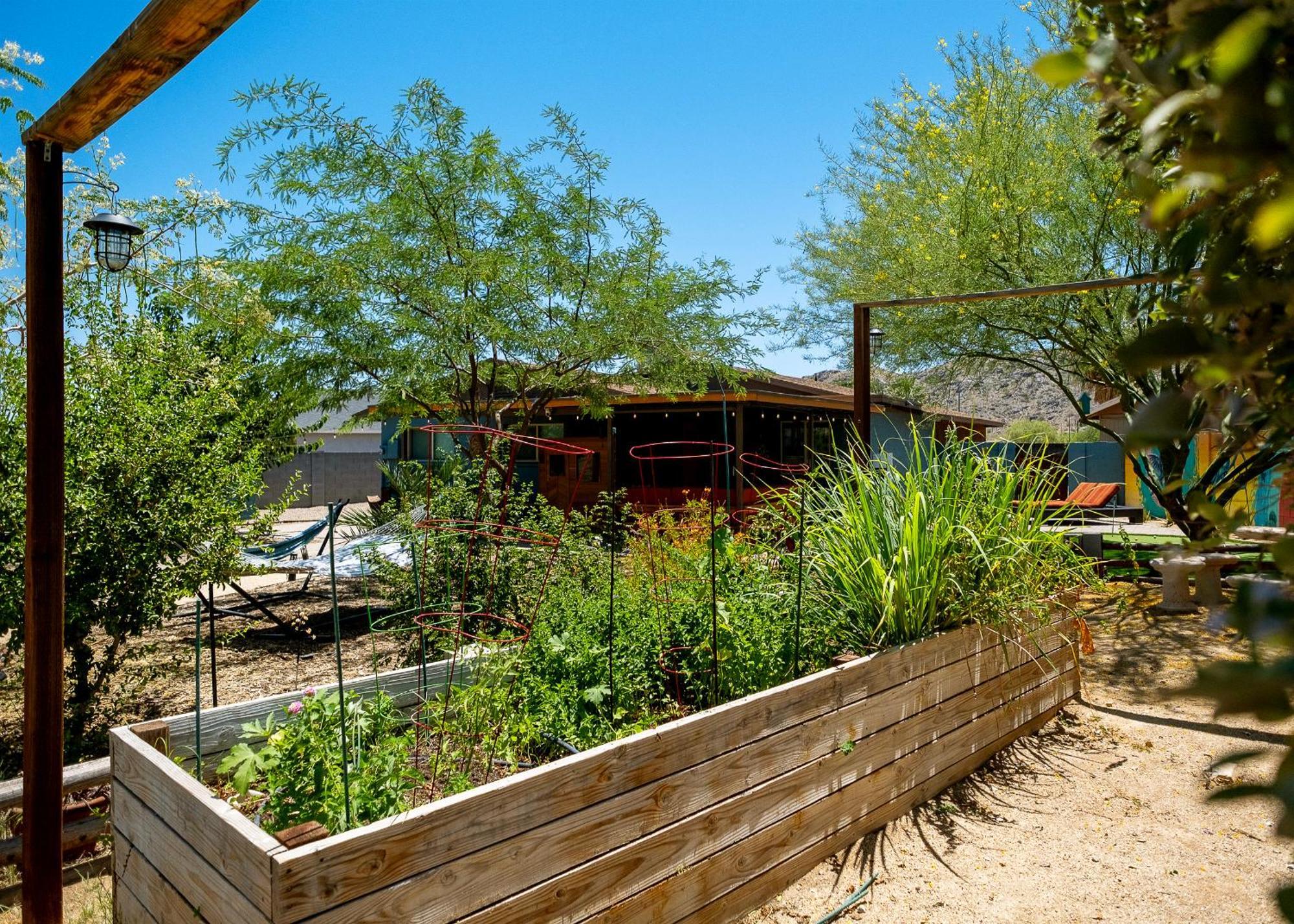 The Hummingbird House, Sauna & Mountain Views! Phoenix Ngoại thất bức ảnh